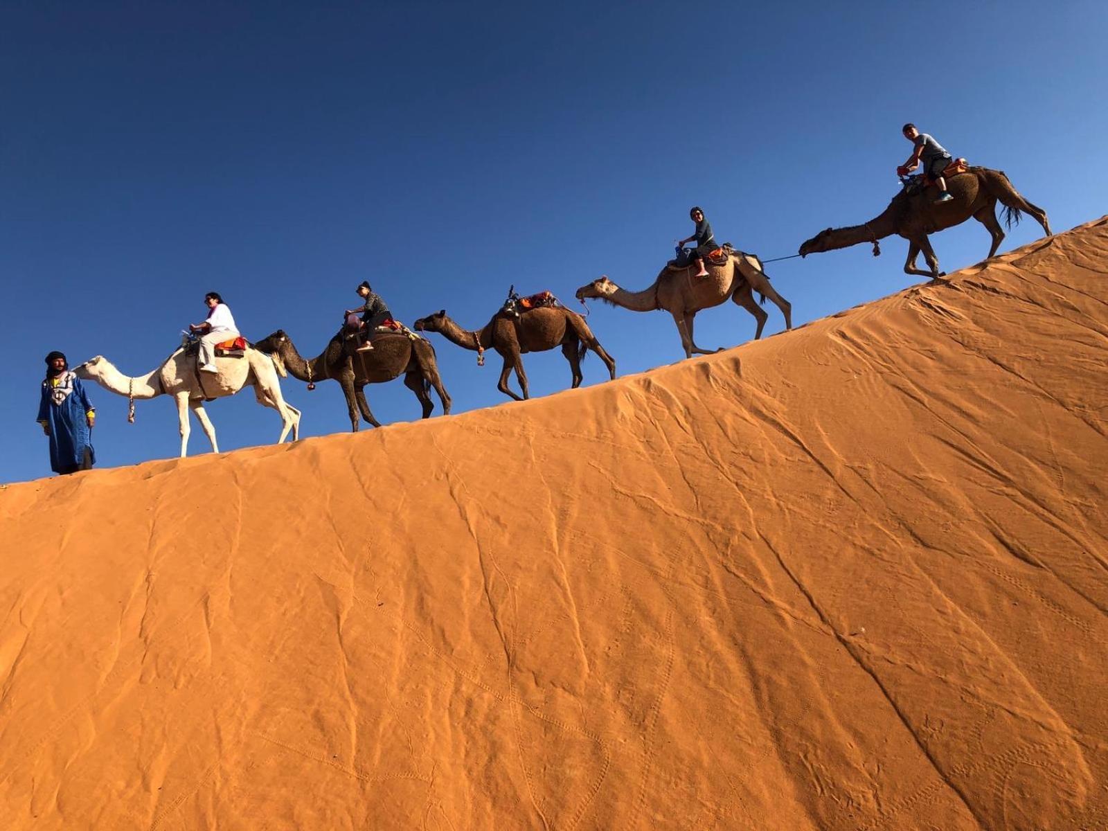 Riad Les Jardins De Merzouga Hotel Eksteriør billede